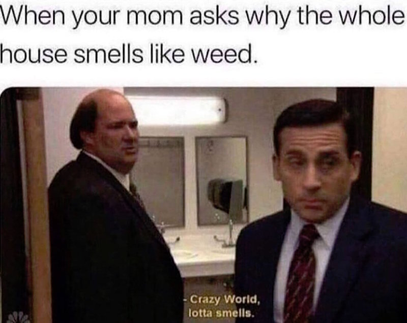 The Office smells meme